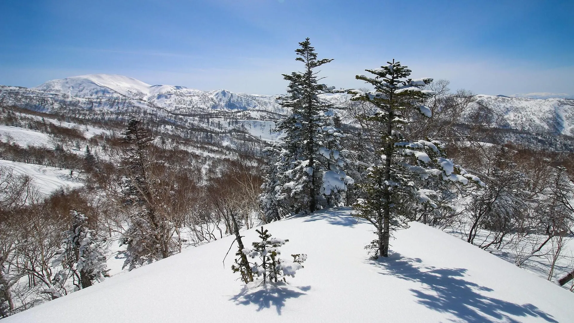 The Kiroro, A Tribute Portfolio Hotel, Hokkaido Akaigawa 4*,  Japan